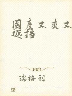 国产又爽又黄无遮挡