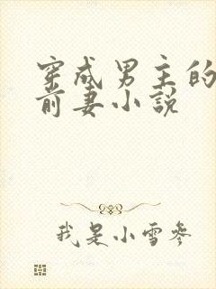 穿成男主的炮灰前妻小说