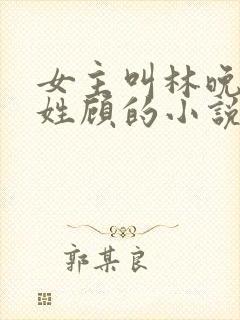 女主叫林晚男主姓顾的小说