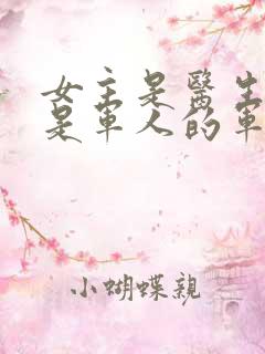 女主是医生男主是军人的军旅小说