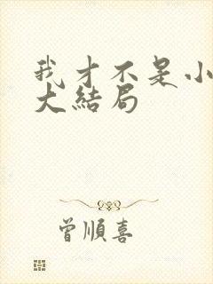 我才不是小可怜大结局