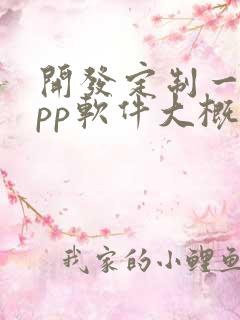 开发定制一个app软件大概多少钱