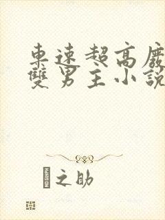 车速超高废文的双男主小说推荐完结