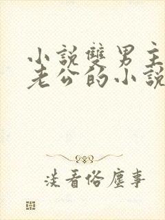 小说双男主虐文老公的小说推荐完结