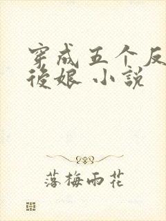 穿成五个反派的后娘 小说