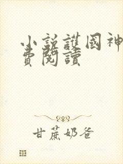 小说护国神帅免费阅读