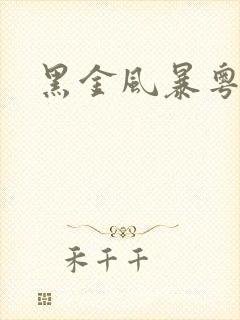 黑金风暴粤语版