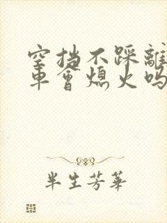 空挡不踩离合刹车会熄火吗