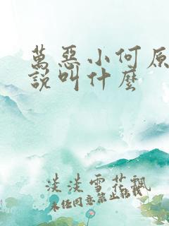 万恶小何原著小说叫什么