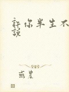 许你半生不见小说