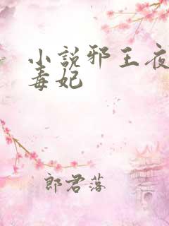 小说邪王夜宠小毒妃