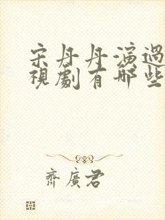 宋丹丹演过的电视剧有哪些