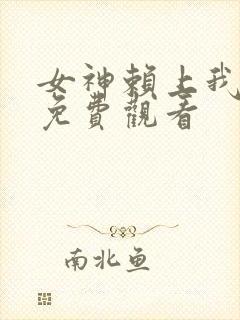 女神赖上我短剧免费观看
