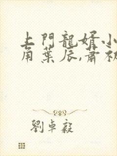 上门龙婿小说主角叶辰,萧初然