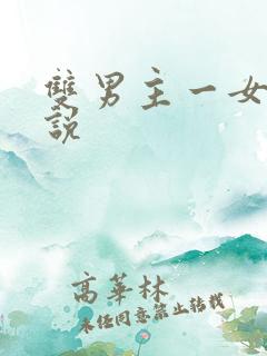 双男主一女主小说