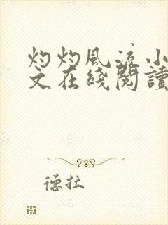 灼灼风流小说全文在线阅读