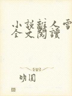 小说离人雪满襟全文阅读