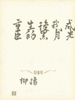 重生后我成了奸臣的黑月光免费阅读