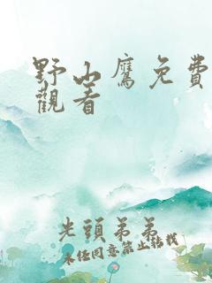 野山鹰免费全集观看