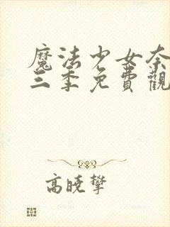 魔法少女奈叶第三季免费观看