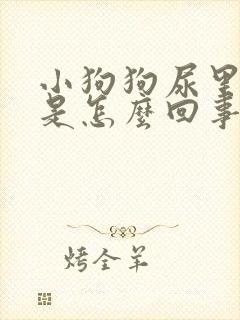 小狗狗尿里有血是怎么回事