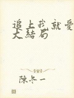 追上我就爱上你大结局