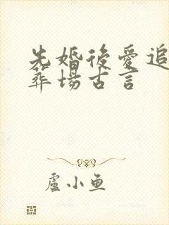 先婚后爱追妻火葬场古言