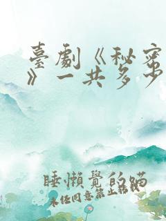 台剧《秘密关系》一共多少集