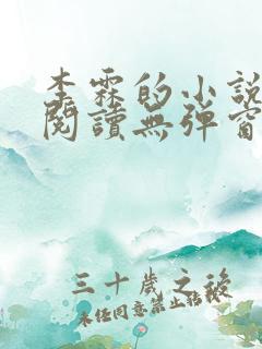 李霖的小说免费阅读无弹窗