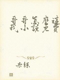 哥哥怎么这样看我小说免费阅读无弹窗