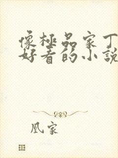 像极品家丁一样好看的小说