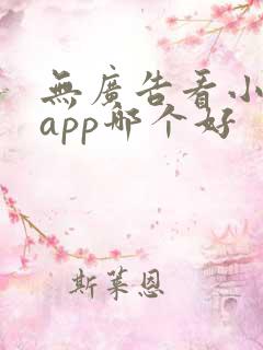 无广告看小说的app哪个好