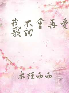 我不会再爱你了歌词