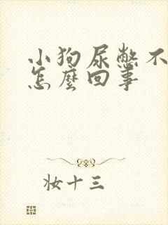 小狗尿憋不住是怎么回事