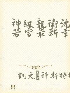 神级龙卫沈浪苏若雪最新章节