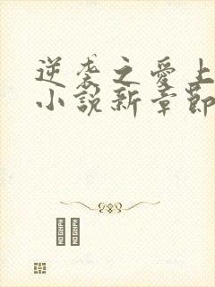 逆袭之爱上情敌小说新章节列表