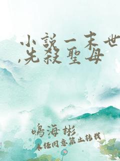 小说一末世降临,先杀圣母