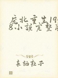 庞北重生1958小说完整版本