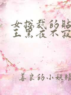 女总裁的贴身兵王黑夜不寂寞