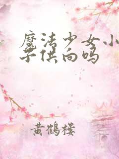 魔法少女小圆是子供向吗