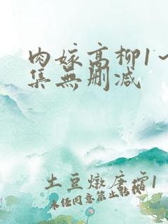 肉嫁高柳1～4集无删减