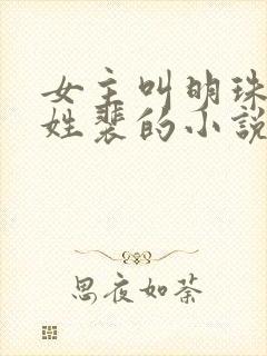 女主叫明珠男主姓裴的小说