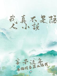 我真不是隐世高人 小说