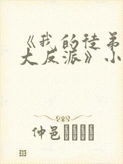 《我的徒弟都是大反派》小说