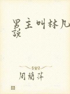 男主叫林凡的小说