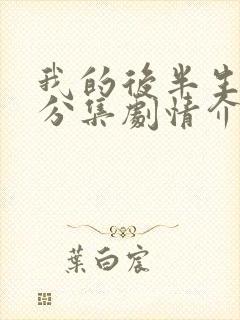 我的后半生剧情分集剧情介绍