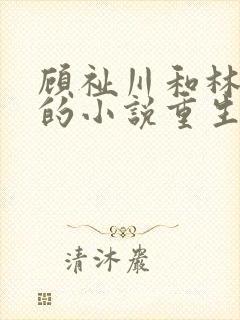 顾祉川和林甘棠的小说重生后我逃婚了