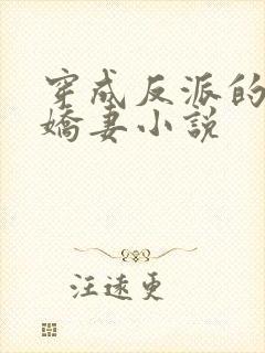 穿成反派的病弱娇妻小说