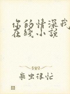 你的情深我不配在线小说