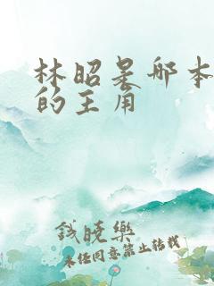 林昭是哪本小说的主角